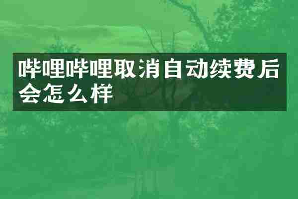 哔哩哔哩取消自动续费后会怎么样
