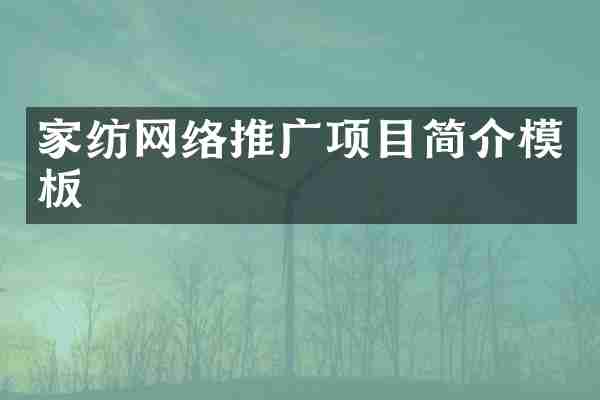 家纺网络推广项目简介模板