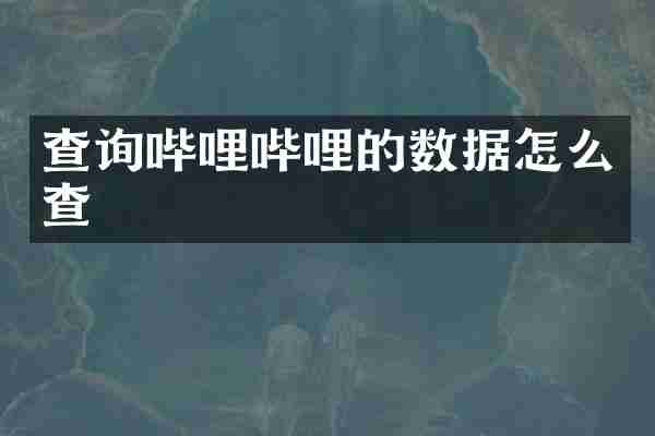 查询哔哩哔哩的数据怎么查