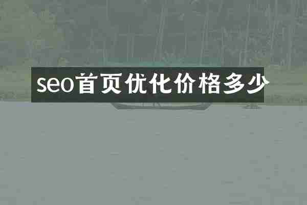 seo首页优化价格多少