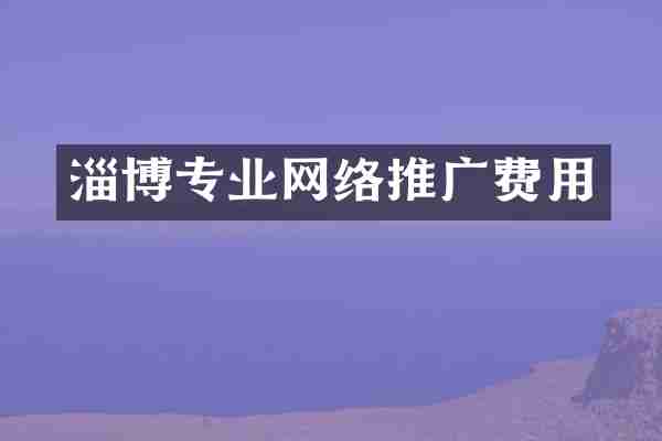 淄博专业网络推广费用