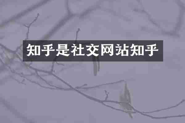 知乎是社交网站知乎
