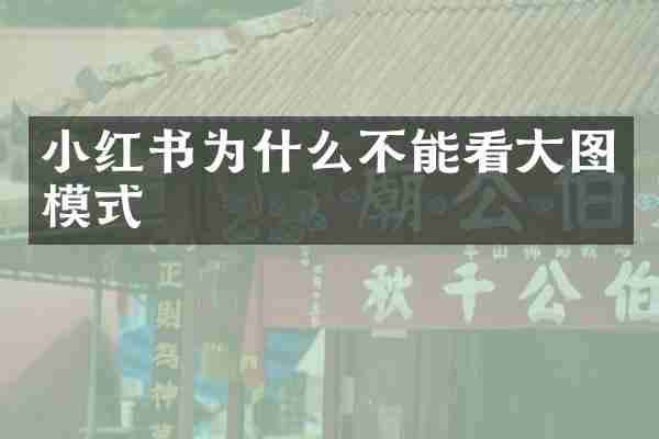 小红书为什么不能看大图模式