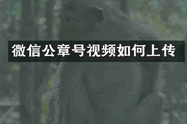 微信公章号视频如何上传