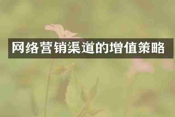 网络营销渠道的增值策略