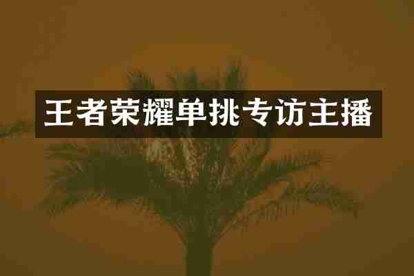 王者荣耀单挑专访主播