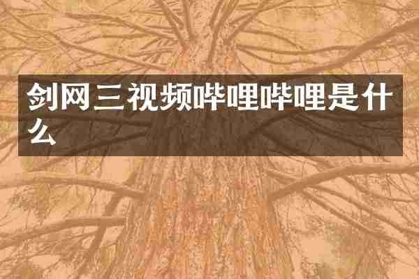 剑网三视频哔哩哔哩是什么