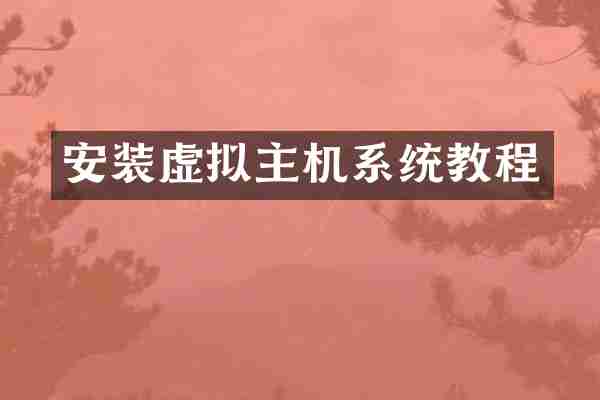 安装虚拟主机系统教程