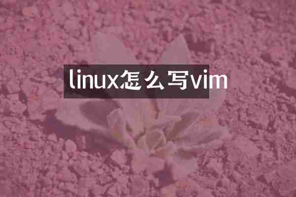 linux怎么写vim