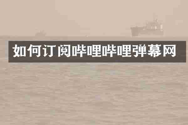 如何订阅哔哩哔哩弹幕网