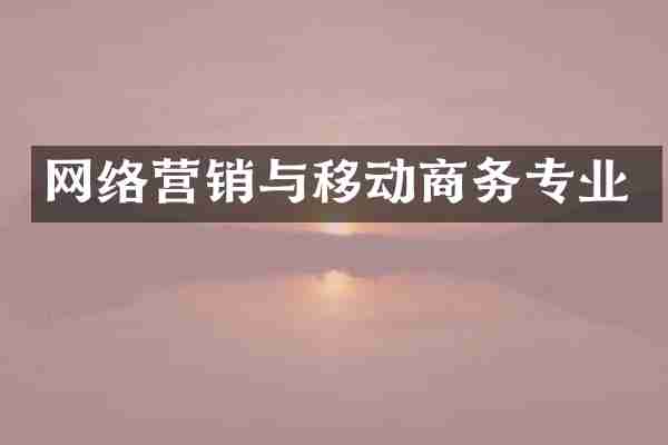 网络营销与移动商务专业
