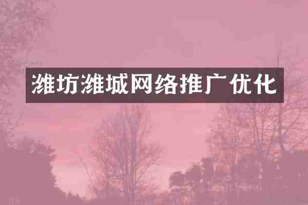 潍坊潍城网络推广优化