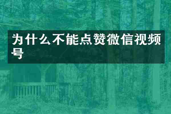 为什么不能点赞微信视频号