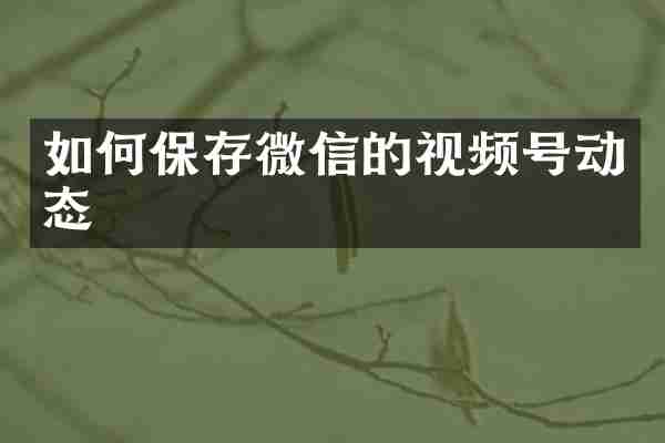 如何保存微信的视频号动态