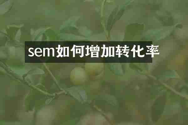 sem如何增加转化率