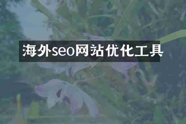 海外seo网站优化工具