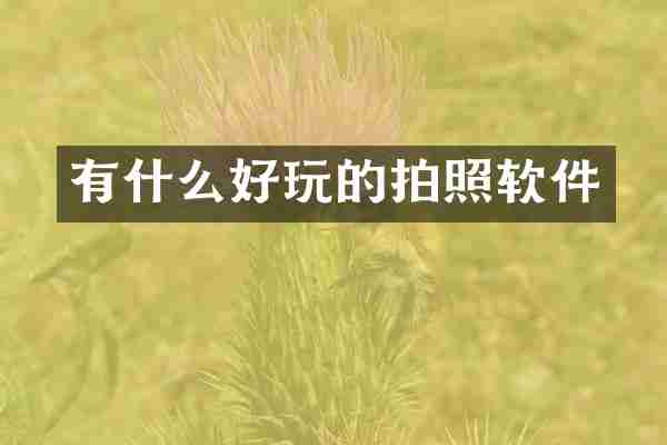 有什么好玩的拍照软件
