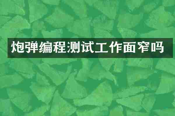 炮弹编程测试工作面窄吗