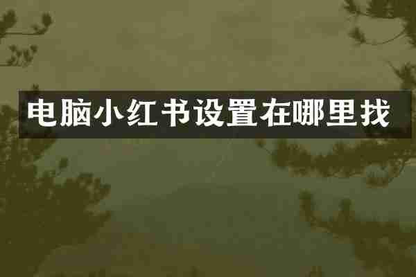 电脑小红书设置在哪里找
