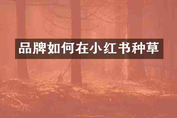 品牌如何在小红书种草