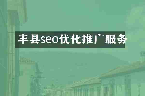 丰县seo优化推广服务