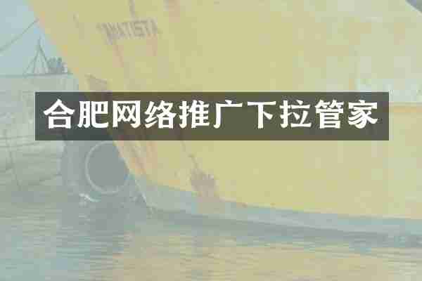 合肥网络推广下拉管家