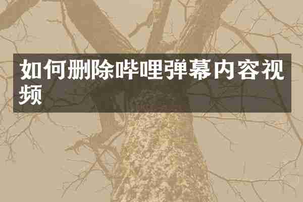 如何删除哔哩弹幕内容视频