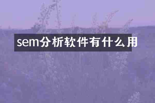sem分析软件有什么用