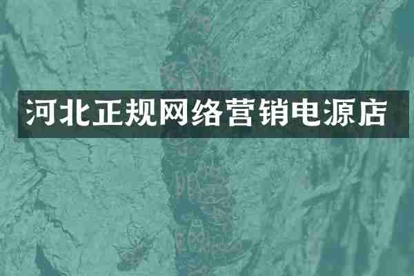 河北正规网络营销电源店
