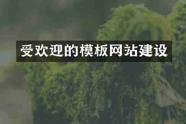 受欢迎的模板网站建设