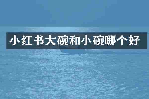 小红书大碗和小碗哪个好