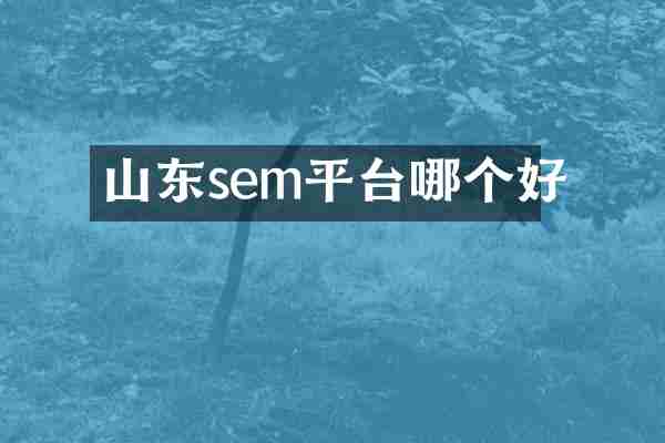 山东sem平台哪个好