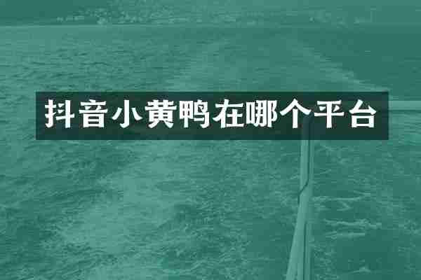 抖音小黄鸭在哪个平台
