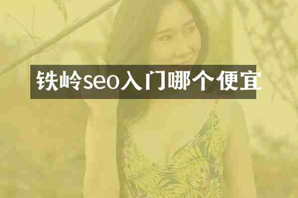 铁岭seo入门哪个便宜