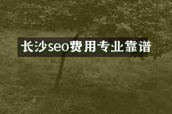 长沙seo费用专业靠谱