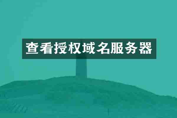 查看授权域名服务器