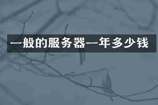 一般的服务器一年多少钱