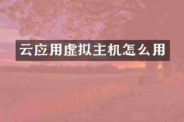 云应用虚拟主机怎么用