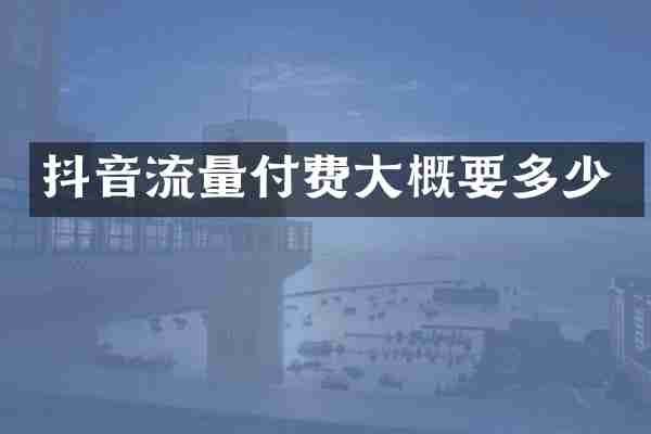 抖音流量付费大概要多少