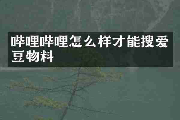 哔哩哔哩怎么样才能搜爱豆物料
