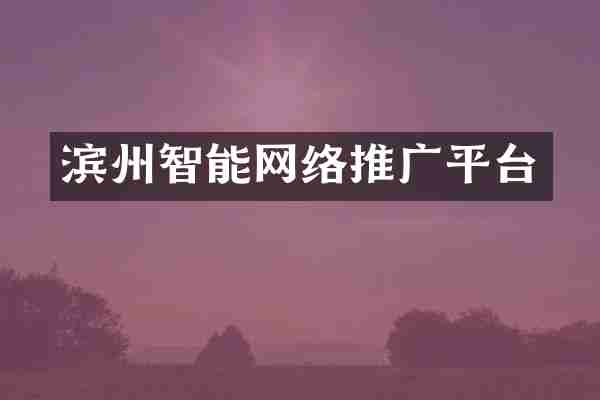 滨州智能网络推广平台