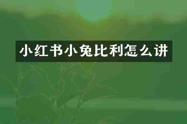 小红书小兔比利怎么讲