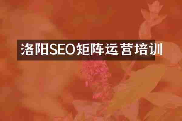 洛阳SEO矩阵运营培训
