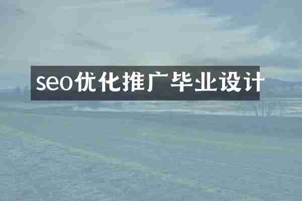 seo优化推广毕业设计