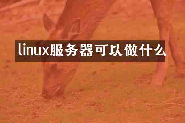 linux服务器可以做什么