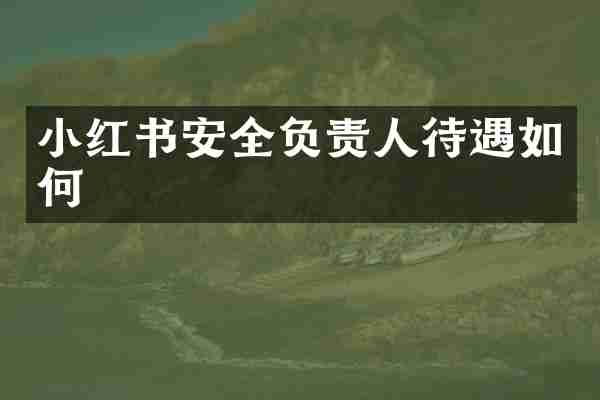 小红书安全负责人待遇如何