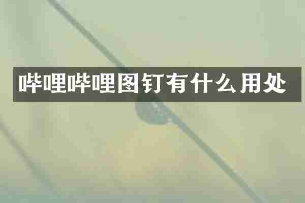 哔哩哔哩图钉有什么用处