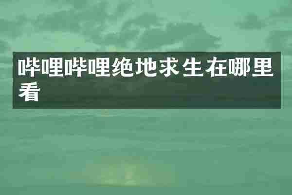 哔哩哔哩绝地求生在哪里看