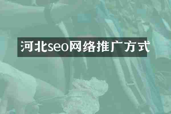 河北seo网络推广方式
