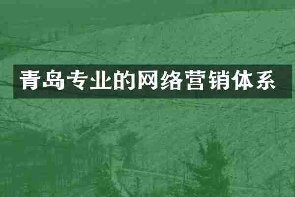 青岛专业的网络营销体系